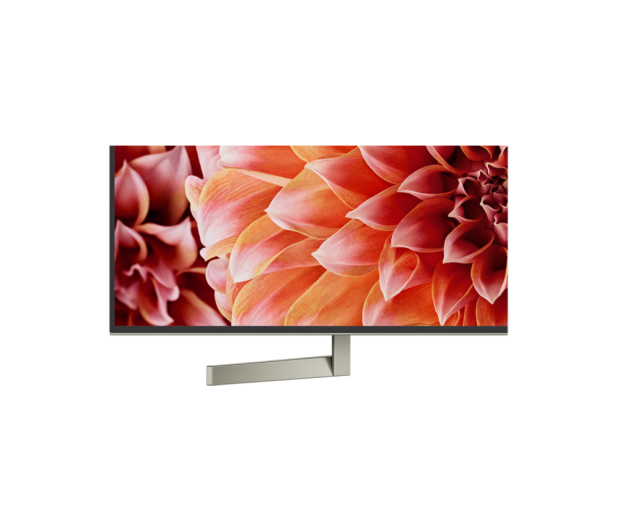 Sony KD-55XF9005 - 467238 - zdjęcie 9
